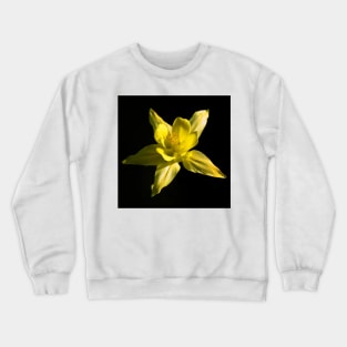 Yellow Colombine Crewneck Sweatshirt